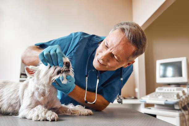 Best 24-Hour Emergency Dentist in Coffeyville, KS
